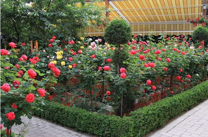 Marshal Hotel Bükreş Dış mekan fotoğraf